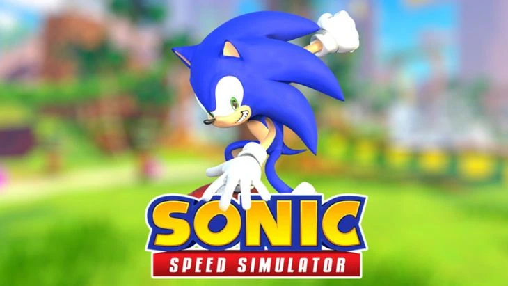 Коды обмена для Sonic Speed Simulator ([m] [Y])
