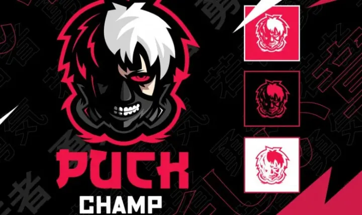 NAVI выкупила Shigetsu для PuckChamp
