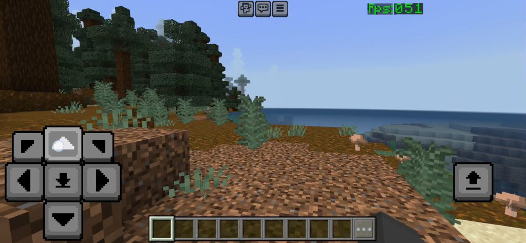 Зачем нужен счетчик FPS в Minecraft Bedrock